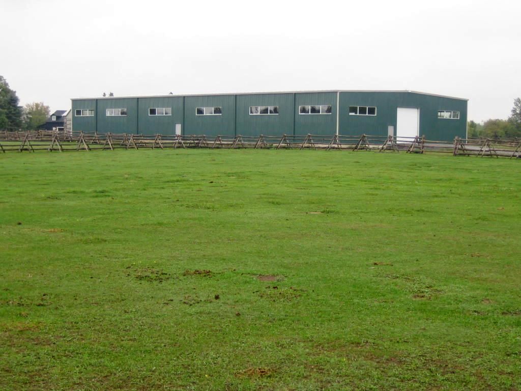 DAVE LEVY HORSE RIDING ARENA